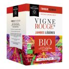 Vigne Rouge 10ml boite de 20