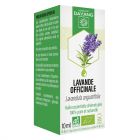 Lavande officinale BIO 10ml