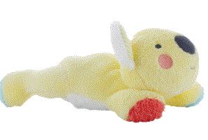 Bouillotte graines +6 mois Koala